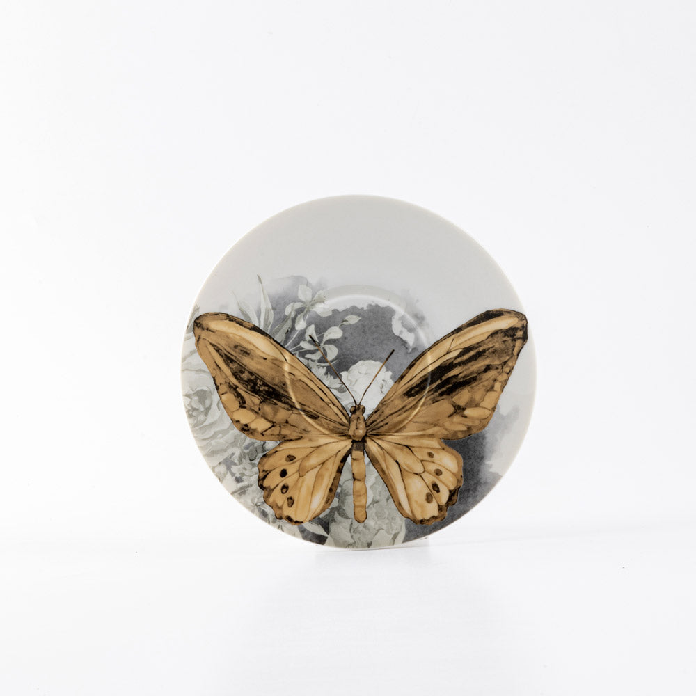 Isabella Milk Cup & Saucer Gy1534