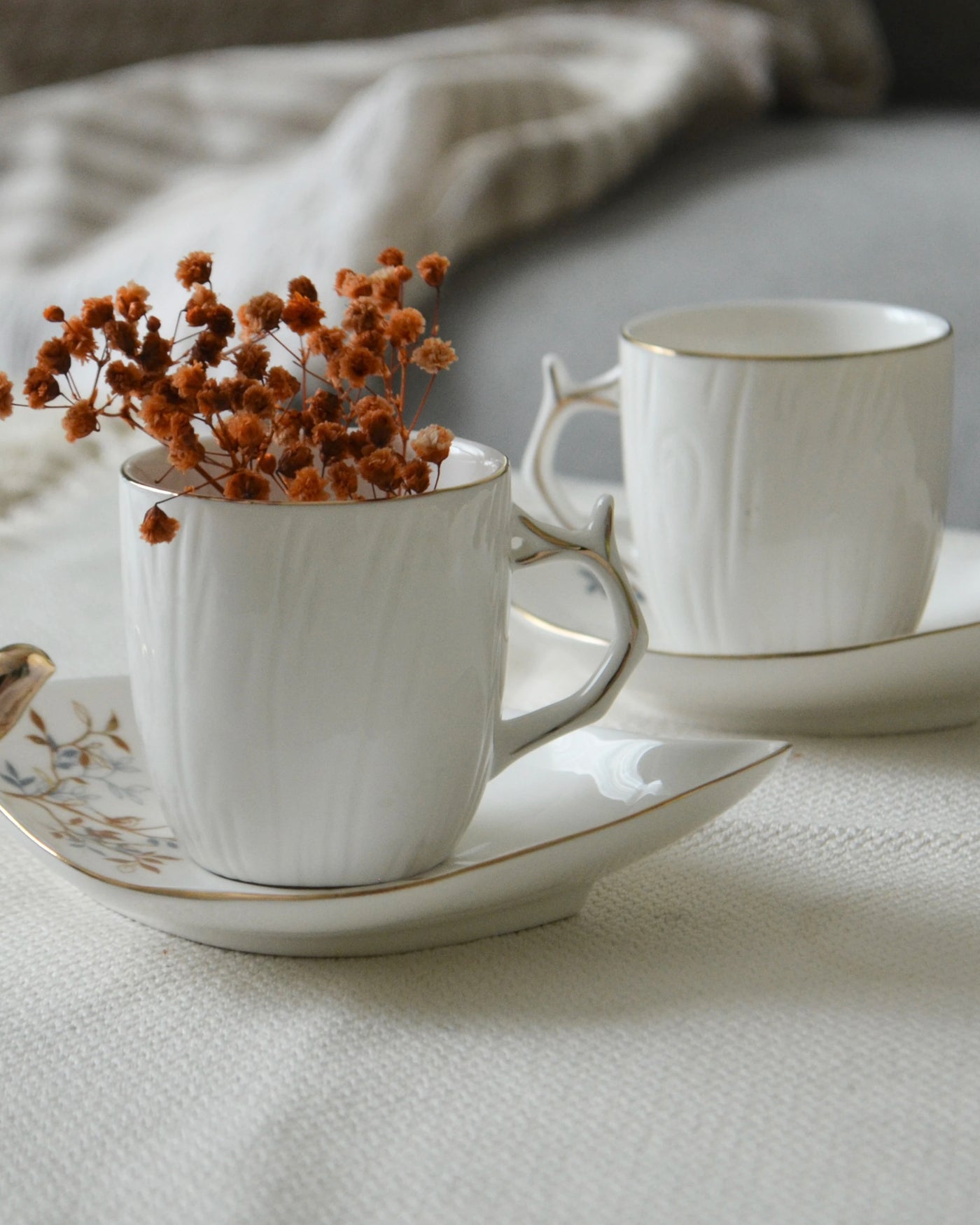 Cup & Saucer Sets