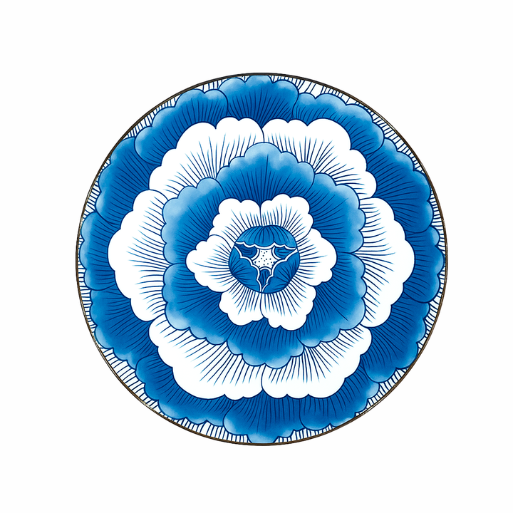 Decorative plate with blue and white floral design on a white background
