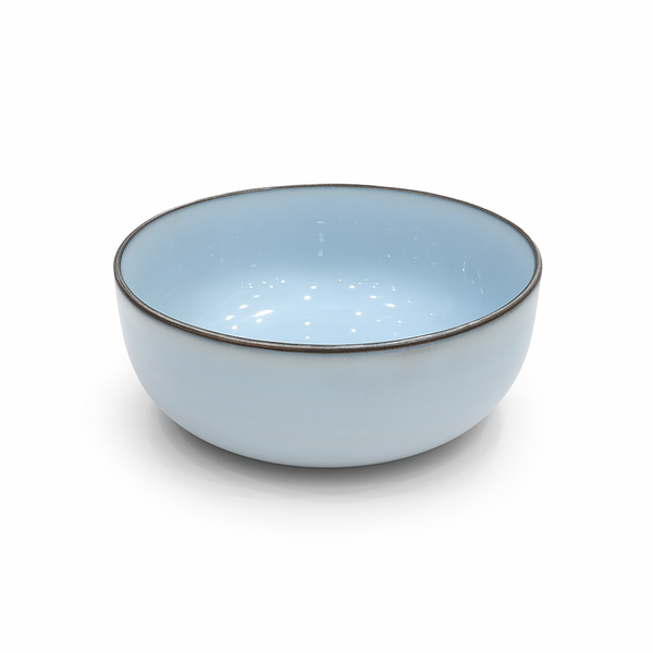 Light blue ceramic bowl with a dark rim on a white background