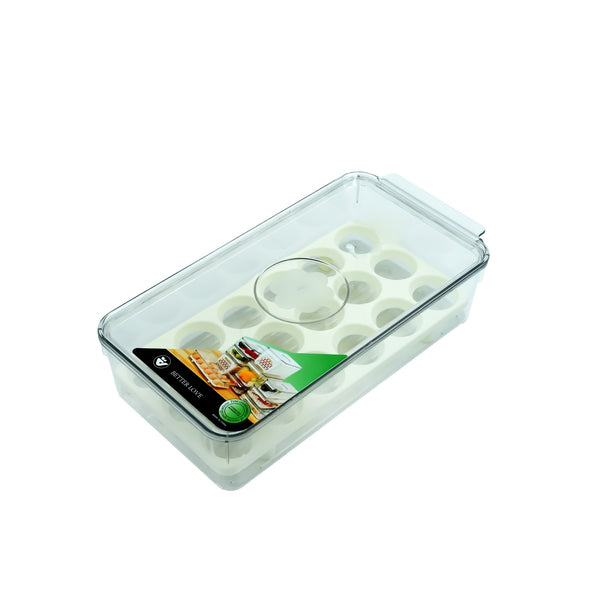 1742 Egg Storage Box - 32cm (W) x 16cm (L) x 8cm (H)