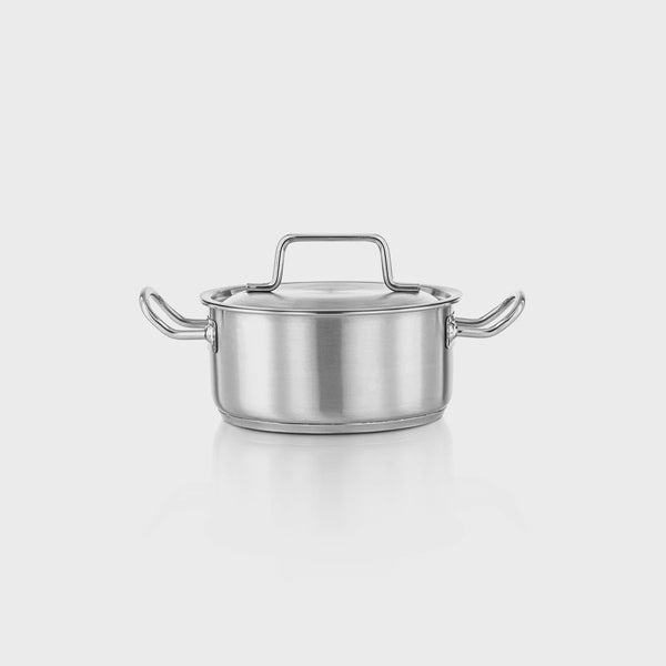 Stainless Steel Professional Cooking Pot with Lid – Heavy-Duty, Double Handle Design