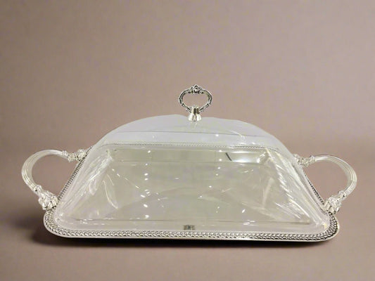 Cd-6939 Rectangle Serving Tray W/Lid Silver