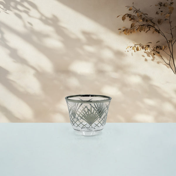GCW24-S Cawa Cup Glass 6 PC Set - Silver
